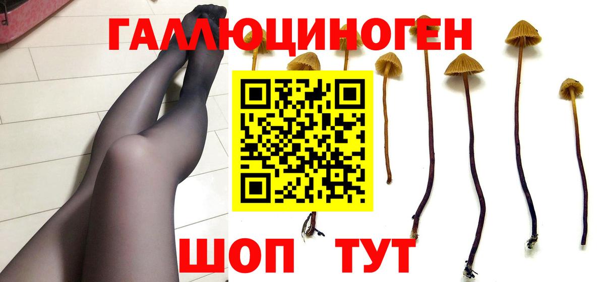 Чебоксары  Галлюциногенные грибы прущие грибы  Вход с VPN  Псилоцибиновые грибы Magic Shrooms 